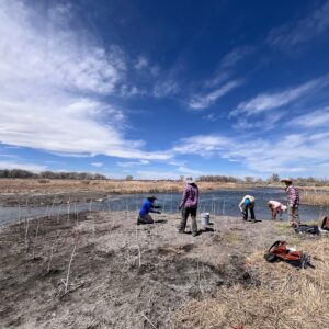 Ecological Restoration Overview