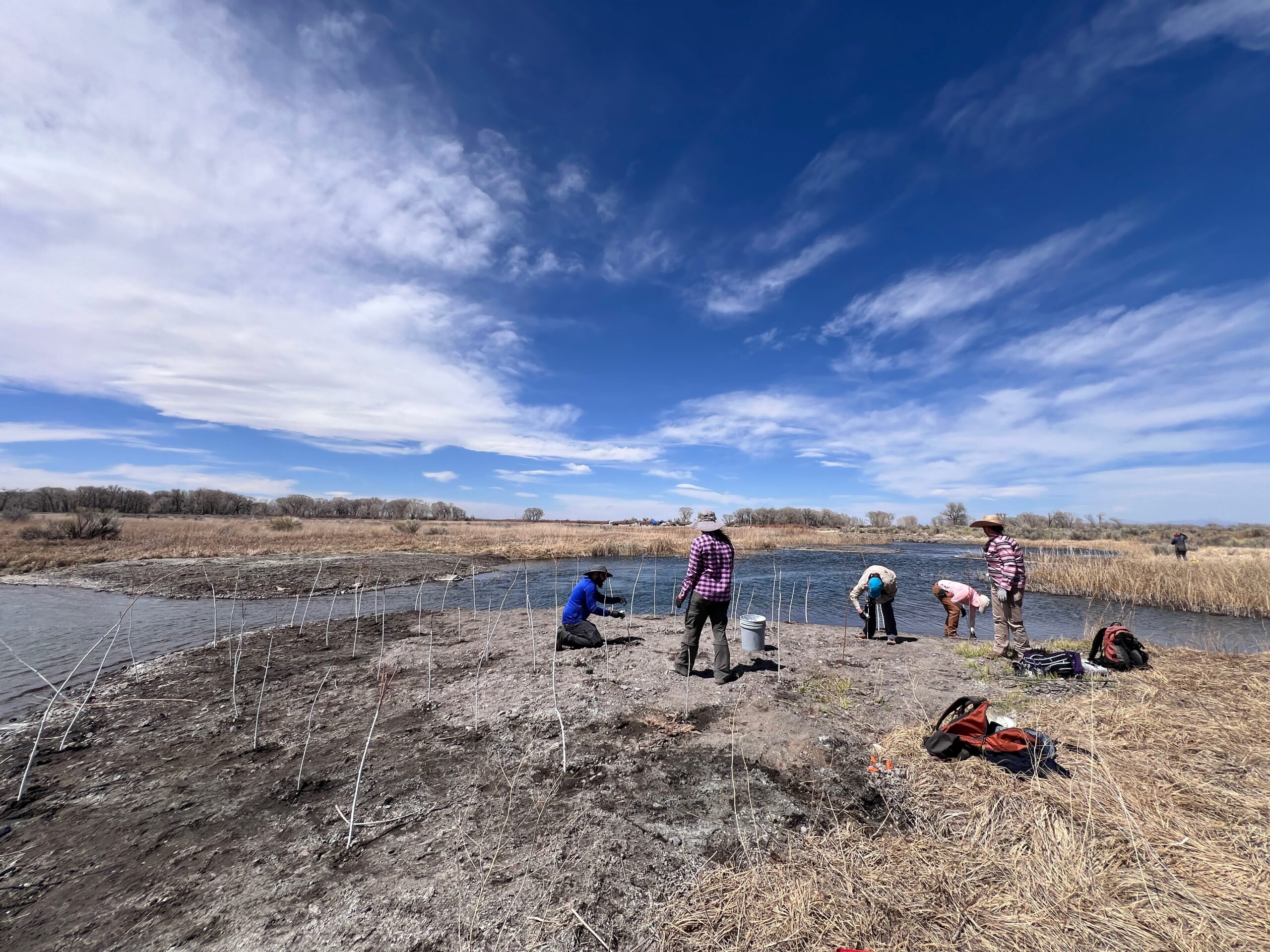 Ecological Restoration Overview