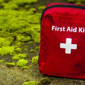 Adult CPR and First Aid Training & Certification