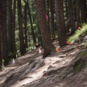 Introduction to Trail Design Training