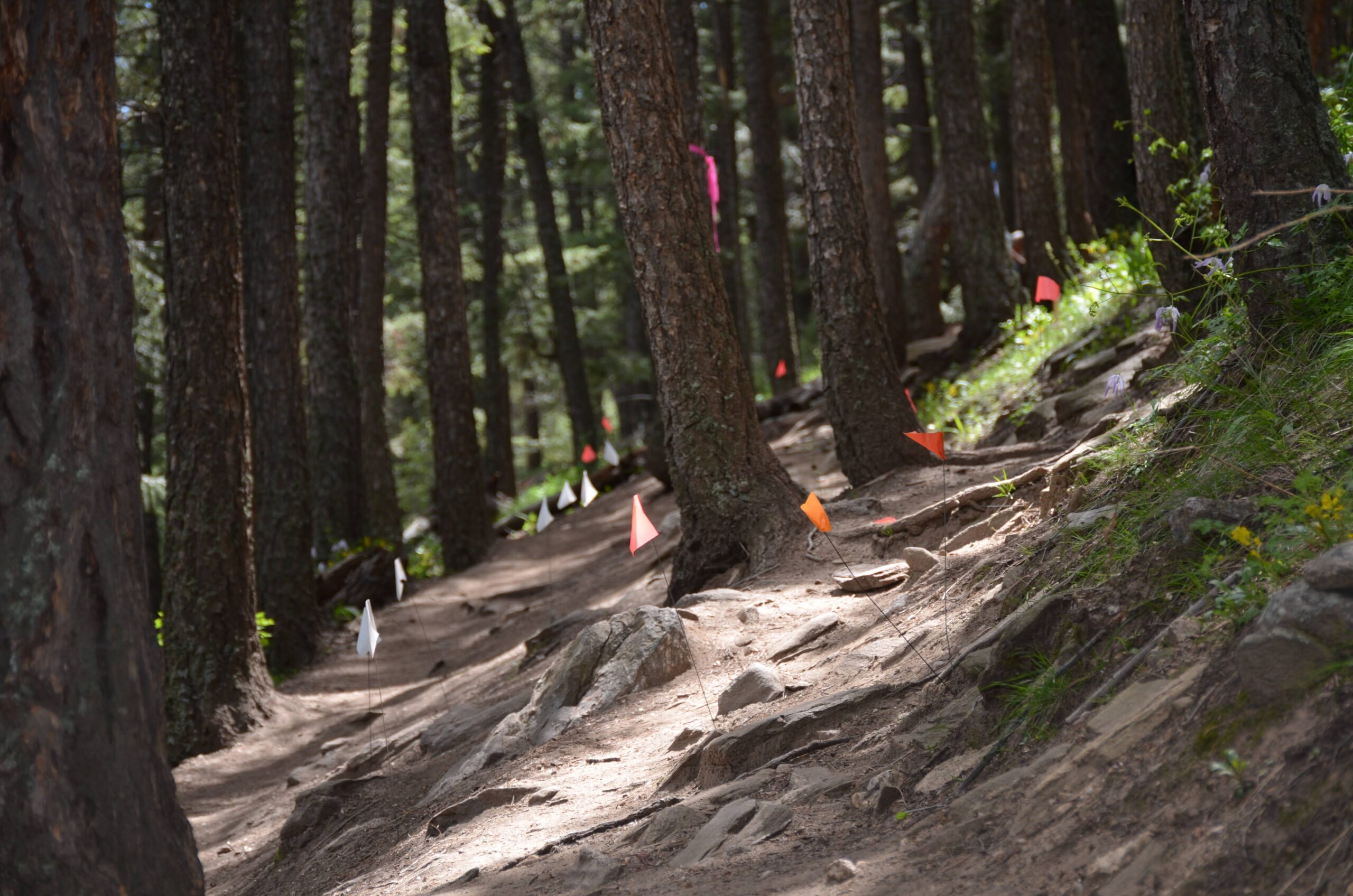 Introduction to Trail Design Training