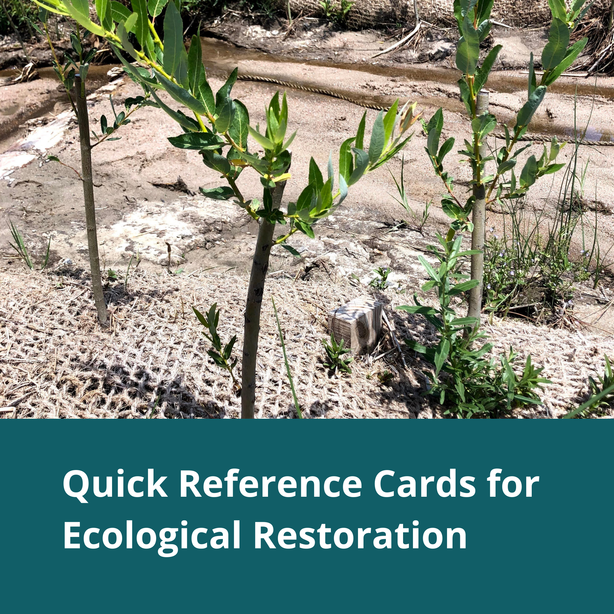 Quick Reference Cards for Ecological Restoration