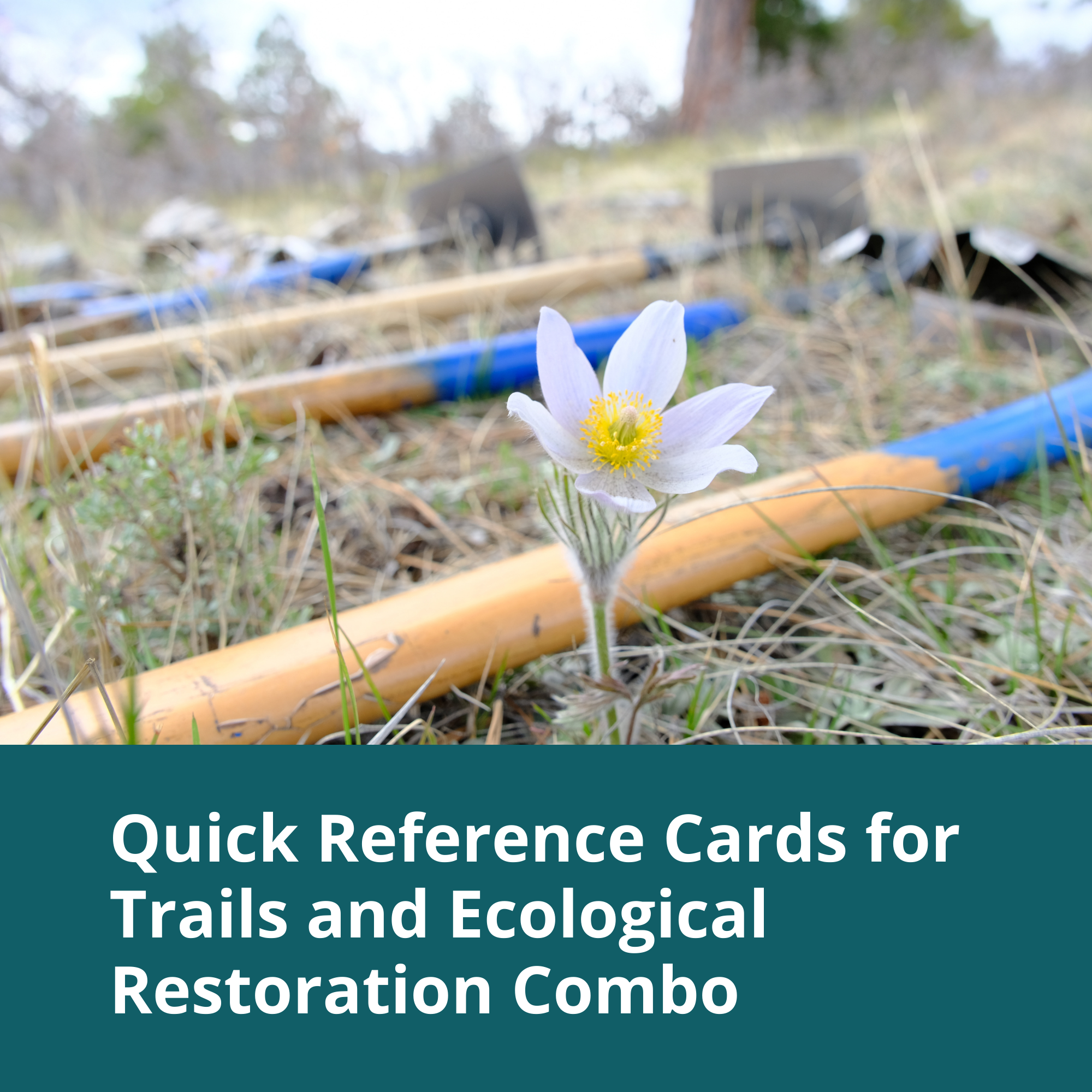 Quick Reference Cards for Trails and Ecological Restoration Combo